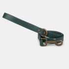 Imagen del Producto Correa para perros modelo forest