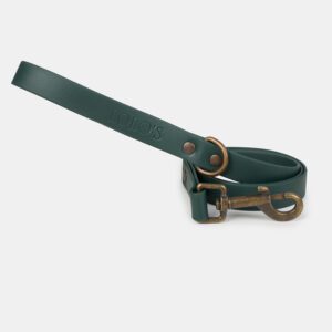 Imagen del Producto Correa para perros modelo forest