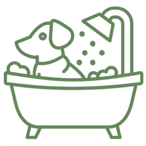 Accesorios de aseo para perros