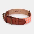 collar de tejido para perros Fire naranja fluorescente – LOLO'S