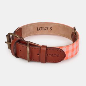 collar de tejido para perros Fire naranja fluorescente – LOLO'S