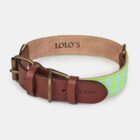 collar de tejido para perros Sea verde fluorescente – LOLO'S