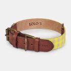 collar de tejido para perros Sun amarillo fluorescente – LOLO'S