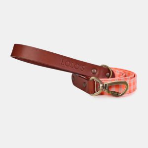 correa de tejido para perros Fire naranja fluorescente – LOLO'S