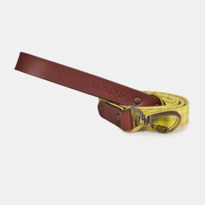 correa de tejido para perros Sun amarillo fluorescente – LOLO'S